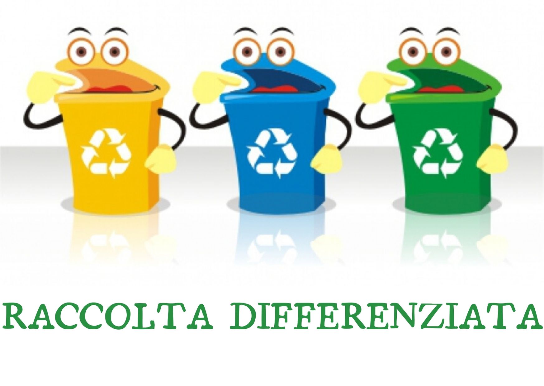 Raccolta Differenziata(1)